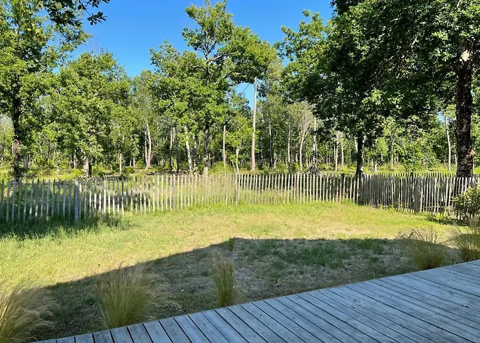 Au Calme Dans La Pinede * 라테스트드뷔크