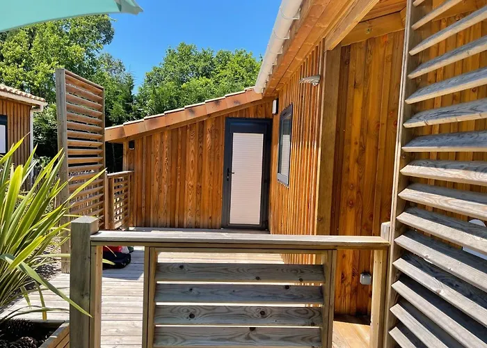 Au Calme Dans La Pinede