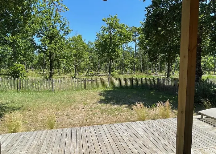 Au Calme Dans La Pinede