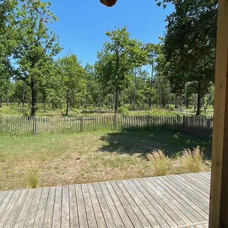 Au Calme Dans La Pinede